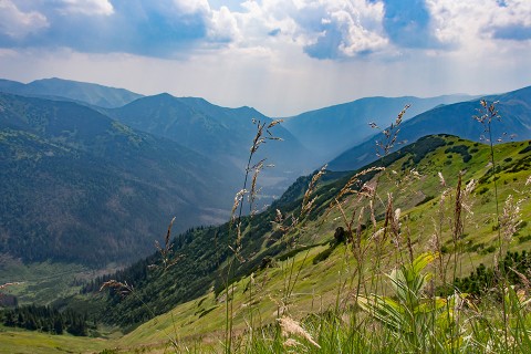 school of creation, retreat, zakopane, honduras